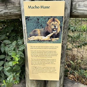 Sep. 2025 - Lion Overlook - Signage