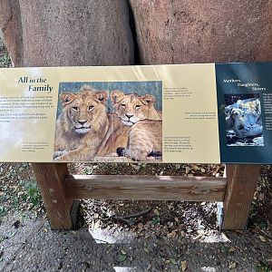 Sep. 2025 - Lion Overlook - Signage