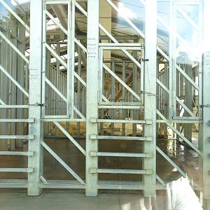 Indoor exhibit asian elephants