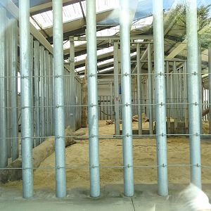 Indoor exhibit asian elephants