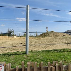 Second exhibit asian elephants
