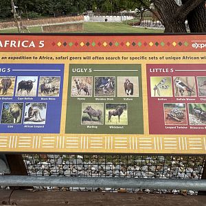 Sep. 2025 - Expedition Africa - “Africa 5” Signage