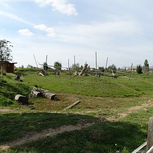 Empty monkeys islands