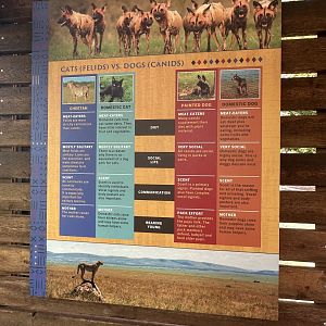 Sep. 2025 - Predator Pass - Signage (1)