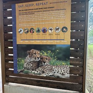 Sep. 2025 - Predator Pass - Signage (2)