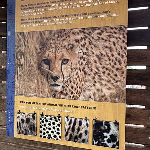 Sep. 2025 - Predator Pass - Signage (5)