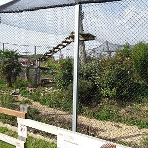 Row of leopard exhibits