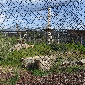 Row of leopard exhibits