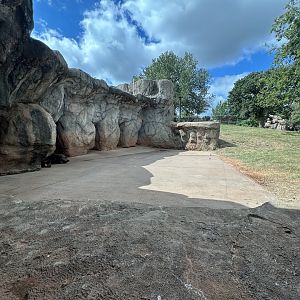 Sep. 2025 - Oklahoma Trails - Grizzly Bear Enclosure