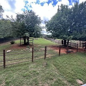 Sep. 2025 - Oklahoma Trails - Wapiti (Elk) Enclosure