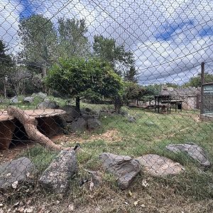 Sep. 2025 - Oklahoma Trails - Cougar Enclosure