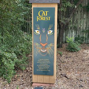 Sep. 2025 - Cat Forest - Sign