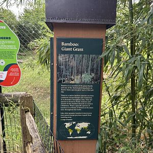 Sep. 2025 - Cat Forest - Signage (1)