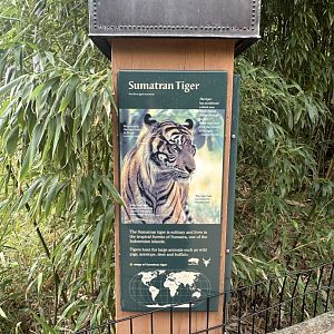 Sep. 2025 - Cat Forest - Signage (2)