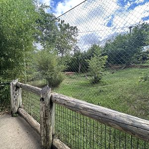 Sep. 2025 - Cat Forest - (Empty) Tiger Enclosure