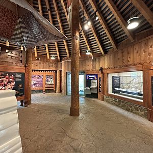 Sep. 2025 - Cat Forest - Tiger Center Overview