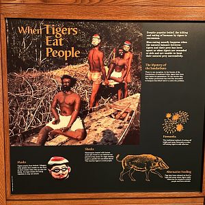 Sep. 2025 - Cat Forest - Signage (4)