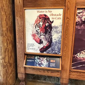 Sep. 2025 - Cat Forest - Signage (5)