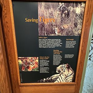 Sep. 2025 - Cat Forest - Signage (6)