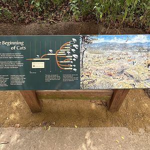 Sep. 2025 - Cat Forest - Additional Signage