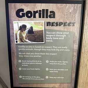 Sep. 2025 - Great EscApe - Signage (1)