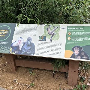 Sep. 2025 - Great EscApe - Signage (2)