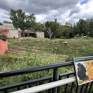 Sep. 2025 - Great EscApe - Chimpanzee Enclosure