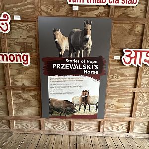 Sep. 2025 - Sanctuary Asia - “Stories of Hope” (2)