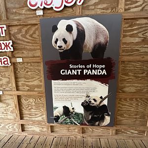 Sep. 2025 - Sanctuary Asia - “Stories of Hope” (3)