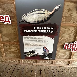 Sep. 2025 - Sanctuary Asia - “Stories of Hope” (4)