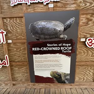 Sep. 2025 - Sanctuary Asia - “Stories of Hope” (5)