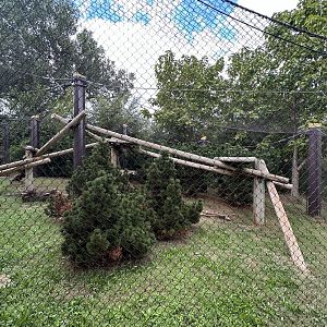 Sep. 2025 - Sanctuary Asia - Red Panda Enclosure