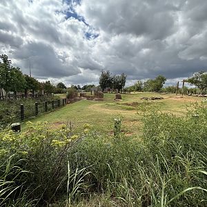 Sep. 2025 - Sanctuary Asia - Elephant / Rhino Rotational Enclosure