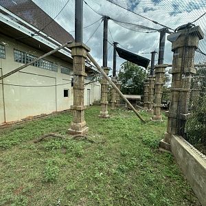 Sep. 2025 - Sanctuary Asia - Francois’ Langur Enclosure