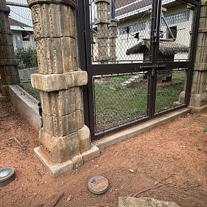 Sep. 2025 - Sanctuary Asia - Langur + Tortoise Enclosures