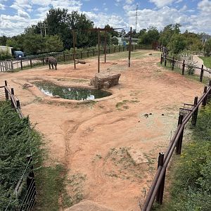 Sep. 2025 - Sanctuary Asia - Bull Elephant Enclosure
