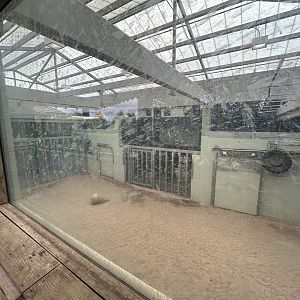 Sep. 2025 - Sanctuary Asia - Indoor Elephant Enclosure