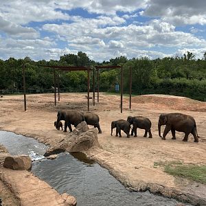 Sep. 2025 - Sanctuary Asia - Female Elephant Enclosure