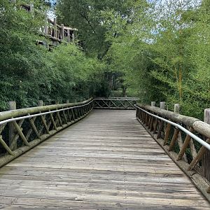 Sep. 2025 - Sanctuary Asia - Downward-Facing Boardwalk