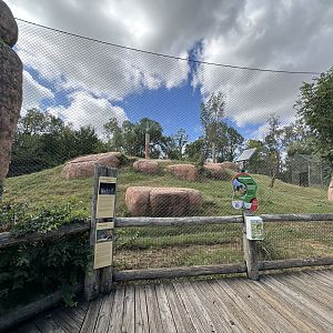 Sep. 2025 - Lion Overlook - Lion Enclosure