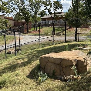 Sep. 2025 - Expedition Africa - Predator & Prey Display