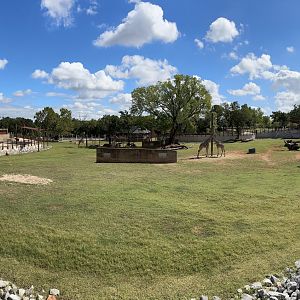 Sep. 2025 - Expedition Africa - Savanna Panorama