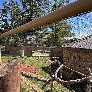 Sep. 2025 - Expedition Africa - Honey Badger Enclosure
