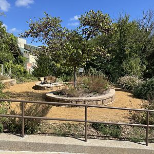 Sep. 2025 - Children’s Zoo - Pick Family Garden