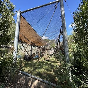 Sep. 2025 - Children’s Zoo - Spider Monkey Enclosure