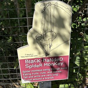 Sep. 2025 - Children’s Zoo - Typical Signage