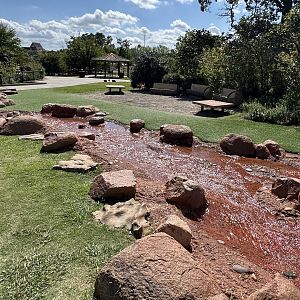 Sep. 2025 - Children’s Zoo - Play Stream