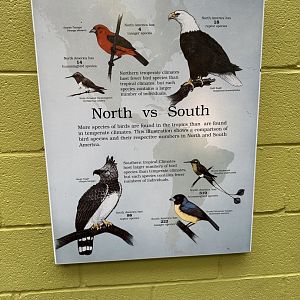 Sep. 2025 - Dan Moran Aviary - Signage (1)