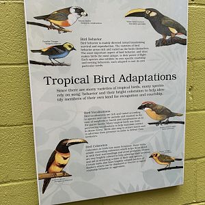 Sep. 2025 - Dan Moran Aviary - Signage (2)