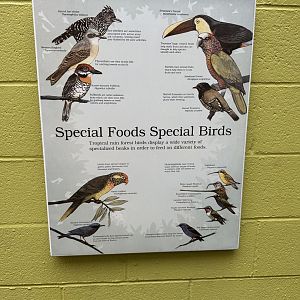 Sep. 2025 - Dan Moran Aviary - Signage (3)